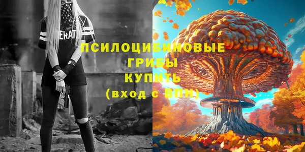 2c-b Иннополис