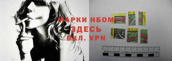 СК Инсар